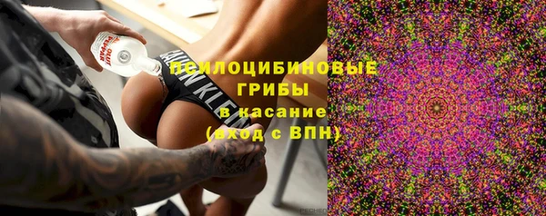 PSILOCYBIN Белоозёрский