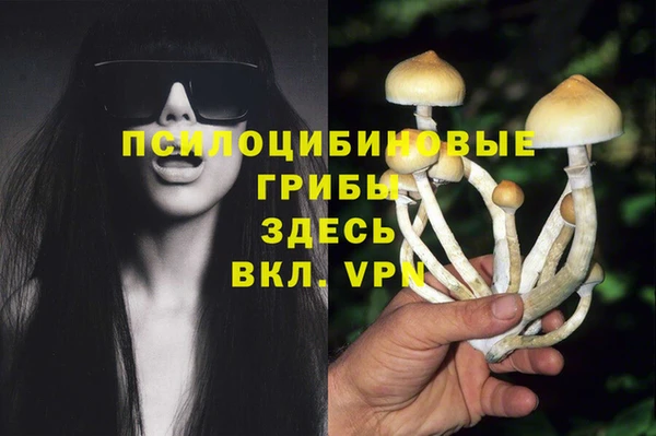твердый Белокуриха