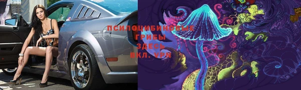 PSILOCYBIN Белоозёрский